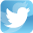Share on Twitter